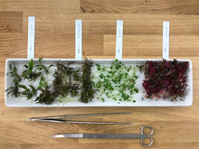 Load image into Gallery viewer, Miniature Worlds Terrarium Workshop