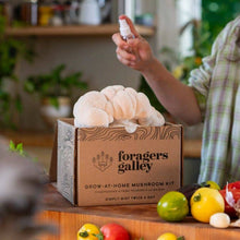 Load image into Gallery viewer, Lion&#39;s Mane Mushroom Grow-at-Home Kit