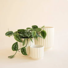 Load image into Gallery viewer, Monroe Pot | Vintage White