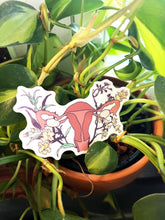 Load image into Gallery viewer, Floral Uterus: Feminist Sticker