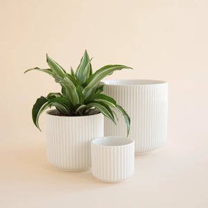 Lucy Pot | White