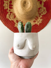 Load image into Gallery viewer, Boobie Planter