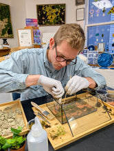 Load image into Gallery viewer, Nature Reclaimed Terrarium w/Mizu Mori