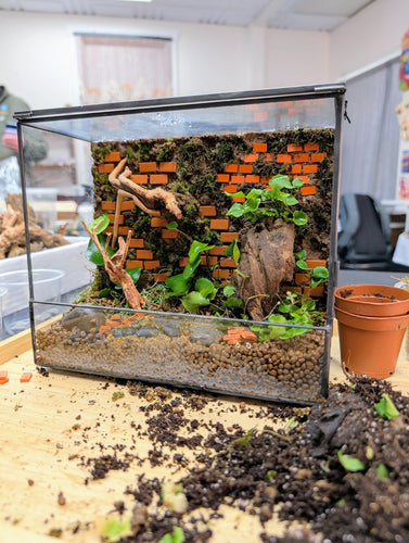 Nature Reclaimed Terrarium w/Mizu Mori