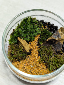 Zen Mossarium w/Mizu Mori