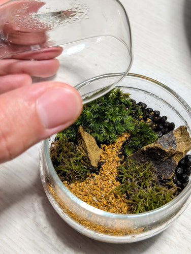 Zen Mossarium w/Mizu Mori
