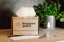 Load image into Gallery viewer, Lion&#39;s Mane Mushroom Grow-at-Home Kit