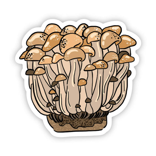 Colony of Mushrooms