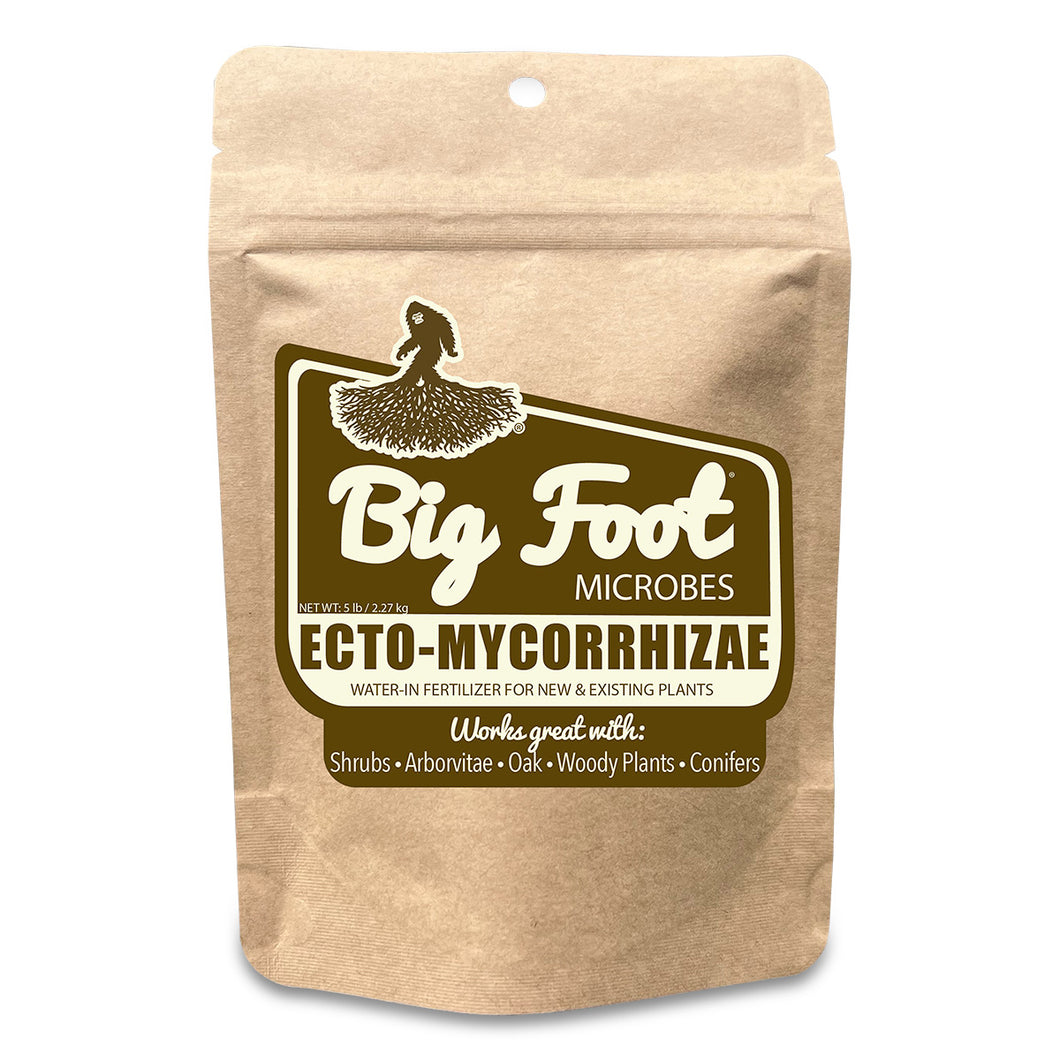 Big Foot Ecto-Mycorrhizae