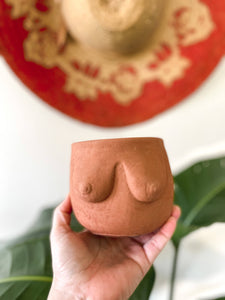 Boobie Planter