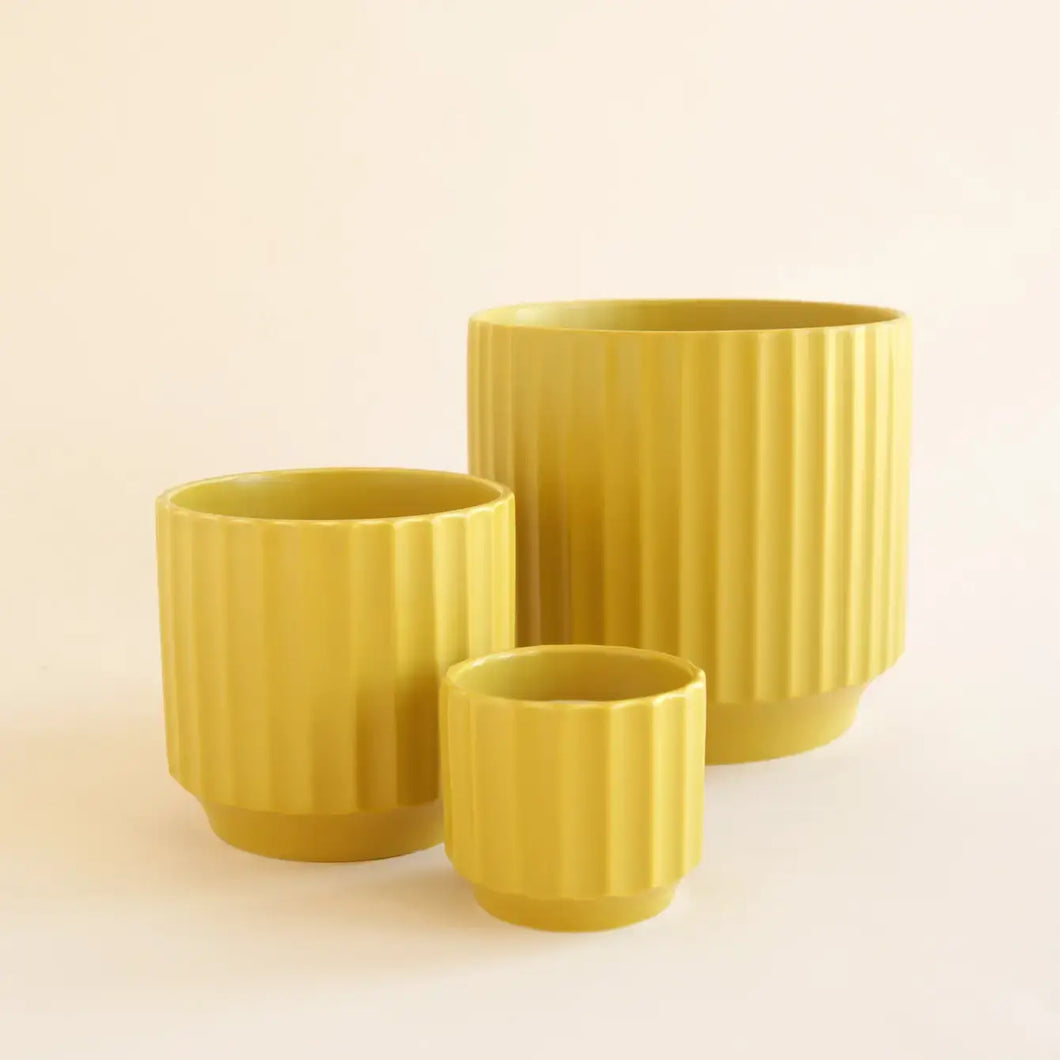 Monroe Pot | Palm (3