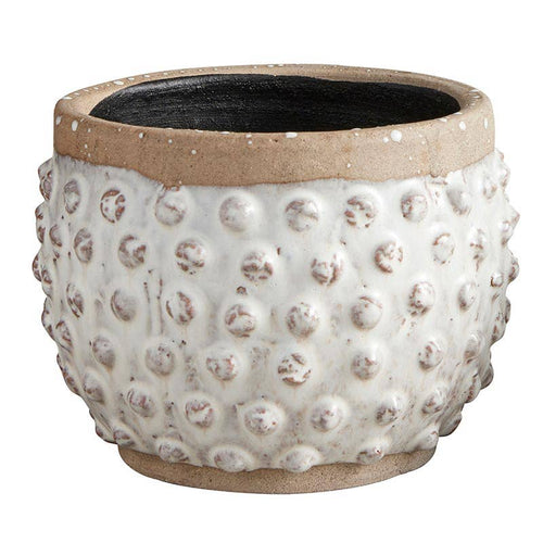 Polka Dot Pot