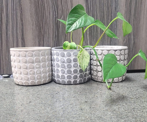 Cement Dot Planter