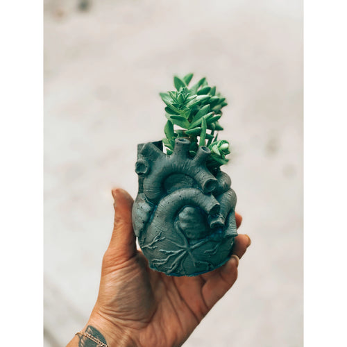 Anatomical Heart Planter