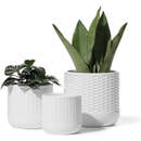 White Ceramic Cylinder Planter