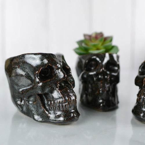 Human Skull Pot