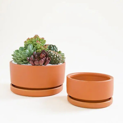 Low Bowl Pot