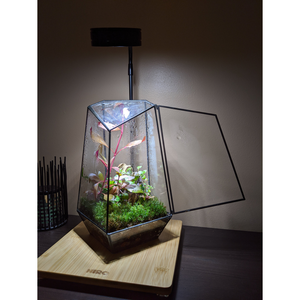 Indoor Plant Geometric Glass Vessel