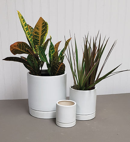 Matte Cylinder Planter