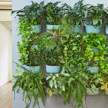 Load image into Gallery viewer, WallyGrow Eco Planter