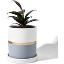 Grey and White Ceramic Planter with Saucer