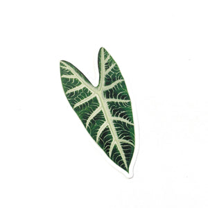 Alocasia Leaf Vinyl Sticker