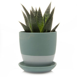 Dyad Pot with Saucer