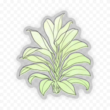 Load image into Gallery viewer, Cordyline Fruticosa Watercolor - Botanical Clear Sticker