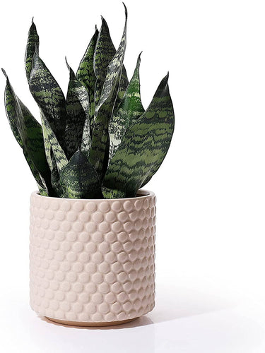 Hobnail Ceramic Pot