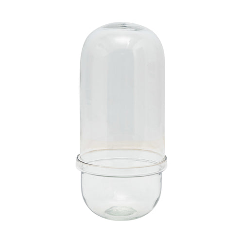 Large Glass Cloche