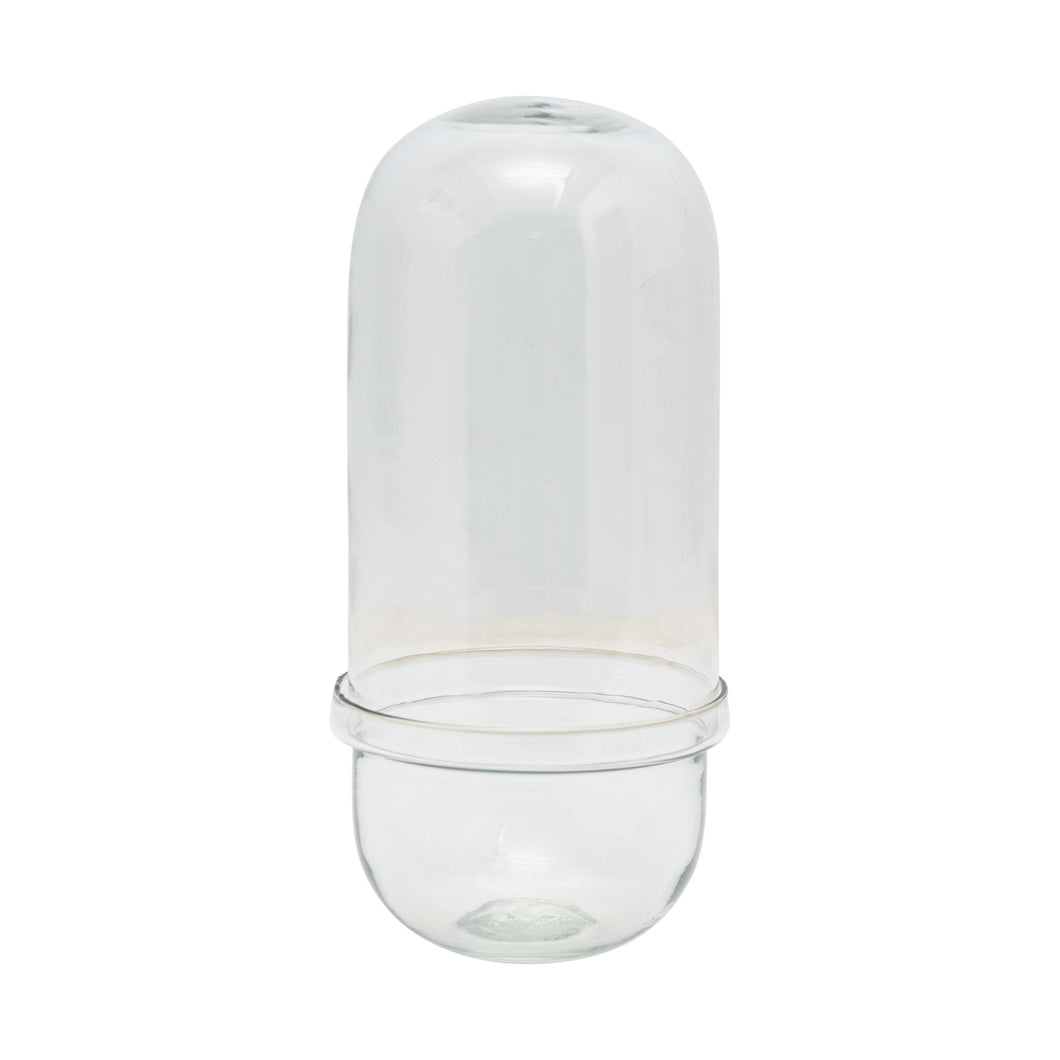 Large Glass Cloche