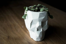 Load image into Gallery viewer, Geo Skull Planter