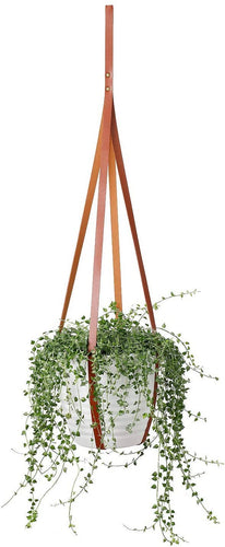 Minimal Plant Hanger