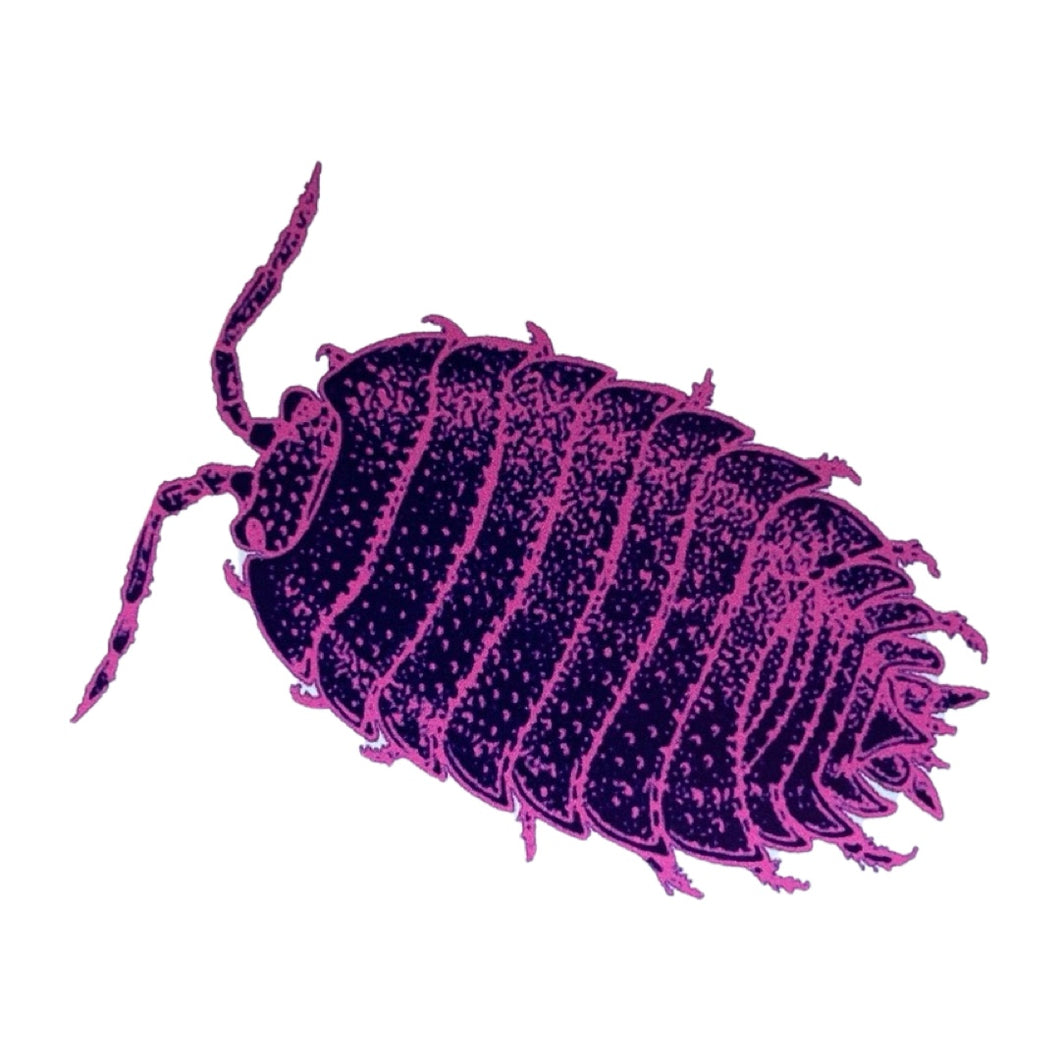 Giant Purple Isopod Sticker