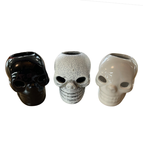 Ceramic Skull Air Plant Pot