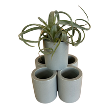 Load image into Gallery viewer, Tiny Air Plant Pot